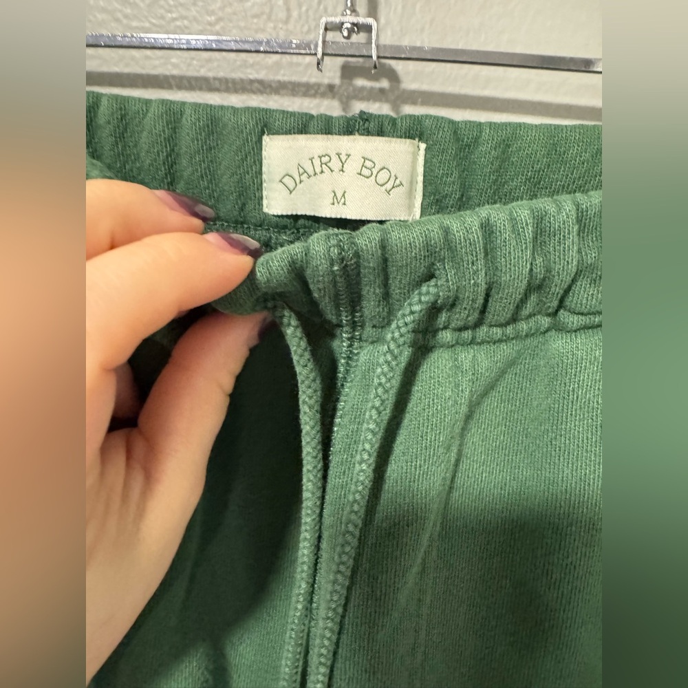 Dairy Boy Green Sweatpants Size Medium - Picture 3 of 7